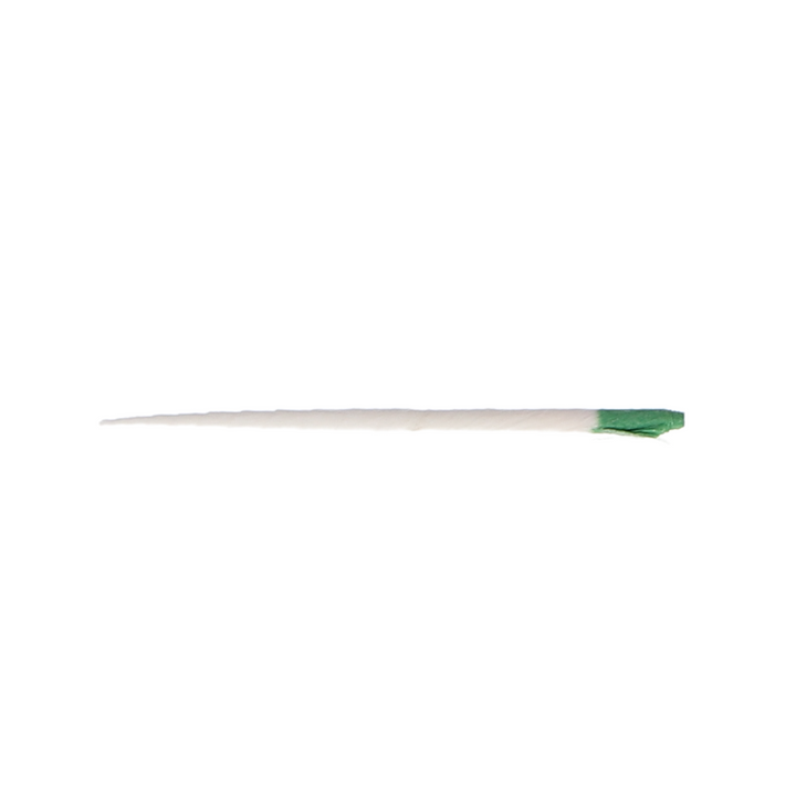Absorbent Paper Points .06 Taper 60/Pk